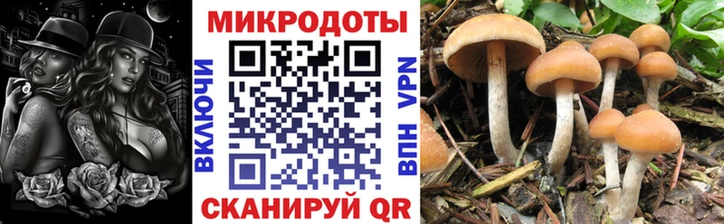 Галлюциногенные грибы ЛСД  дарнет шоп  Невель 
